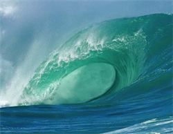 What can we learn as trustees from Point Break