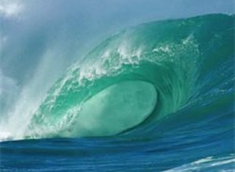 What can we learn as trustees from Point Break
